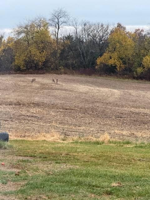 0 NE Camden Rd unit 11614061, Maysville, MO 64469 - photo 2