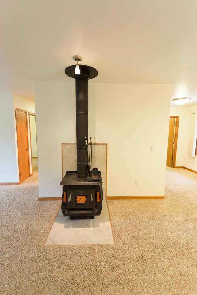 Wood Stove