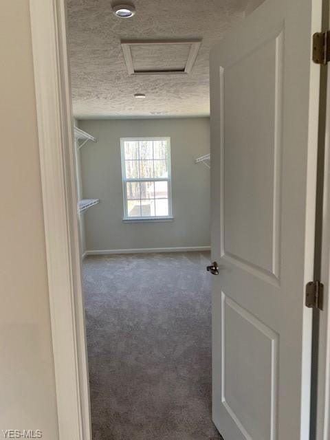 420 Lakeland Way, Aurora, OH 44202 - photo 5