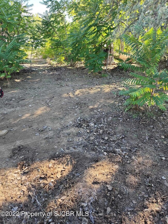 3905 Gold Ave, Farmington, NM 87402 - photo 3