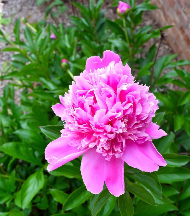 121 Briarwood Ln, Manchester, TN 37355 - photo 3