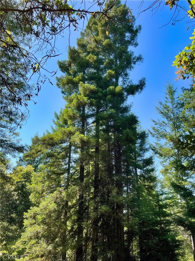 5801 Flynn Creek Rd, Comptche, CA 95427 - photo 3