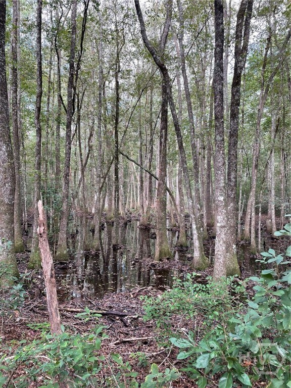 06 Old Augusta Rd, Clyo, GA 31303 - photo 2