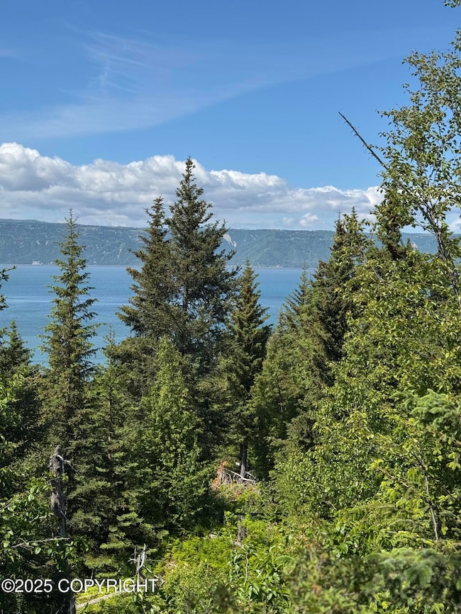 looking at water from land