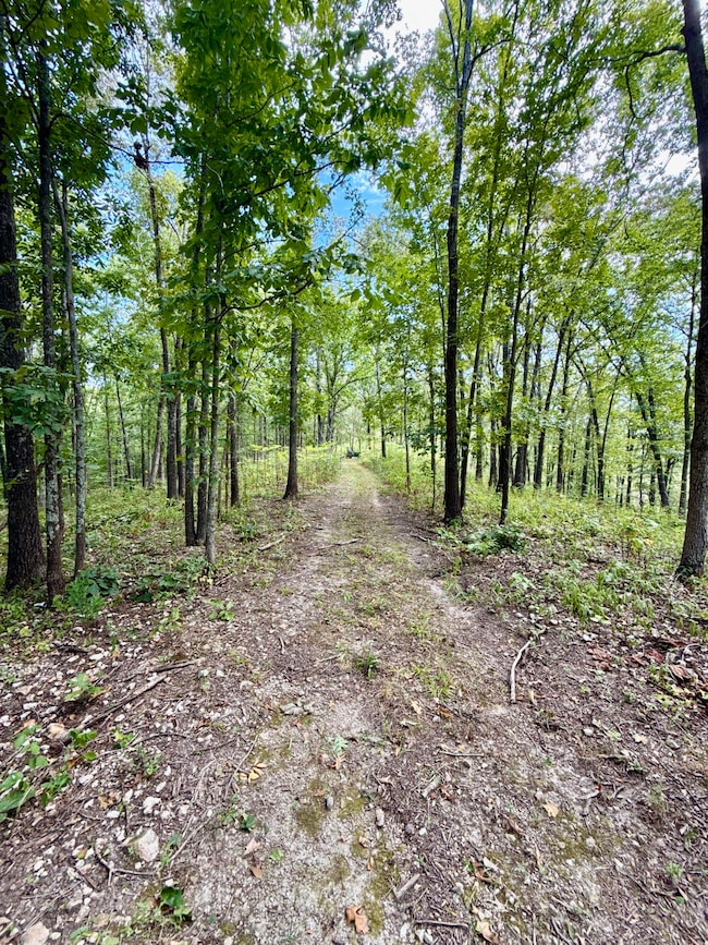 834 Lock 3 Rd, Batesville, AR 72501 - photo 5