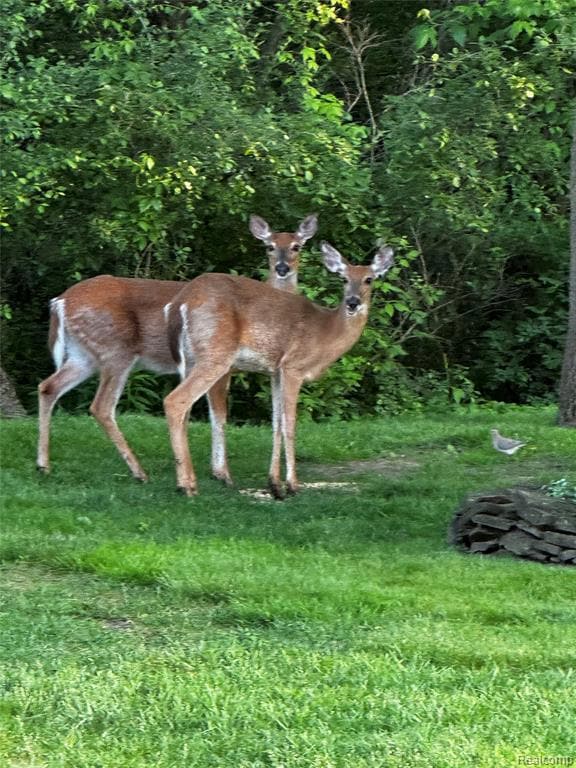 45289 Rudgate Rd, Canton, MI 48188 - photo 6