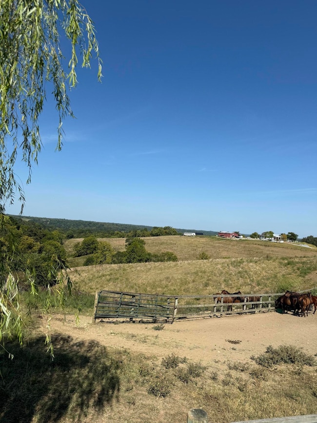 23Ac Olive Branch Rd, Ewing, KY 41041 - photo 3