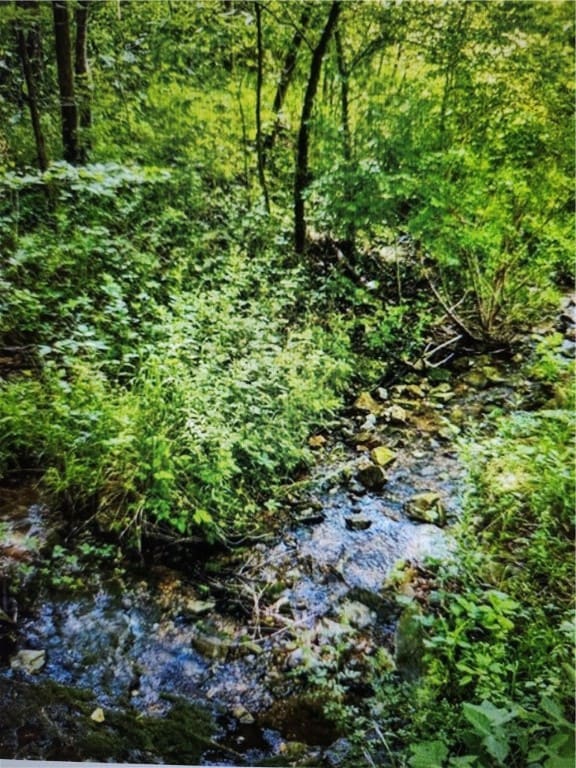 2128 County Road 329, Eureka Springs, AR 72632 - photo 4