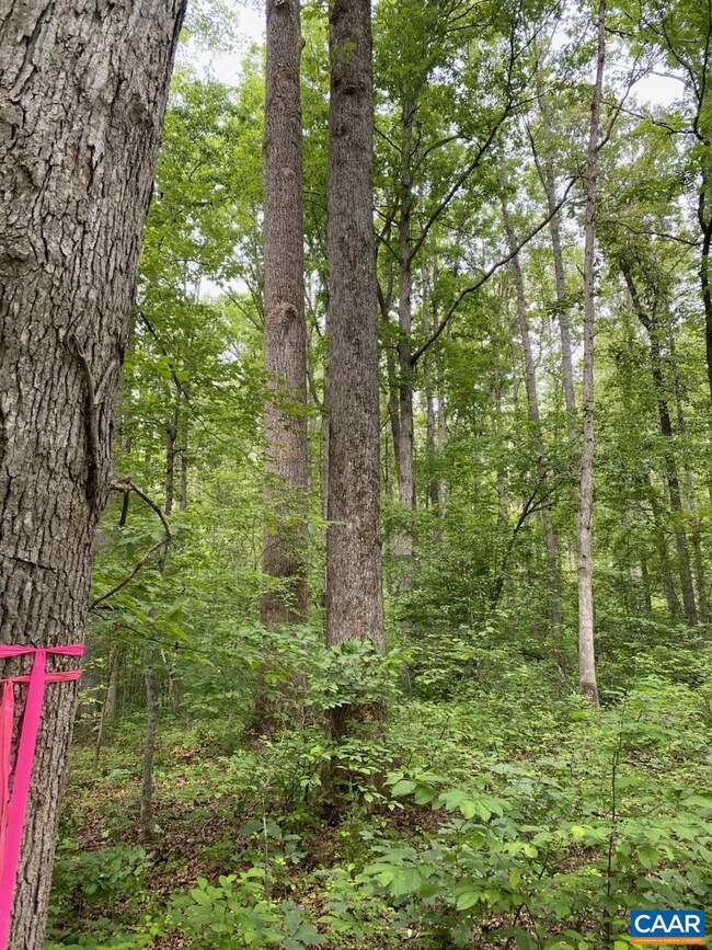 LOT 2 Waldrop Church Rd, Louisa, VA 23093 - photo 2