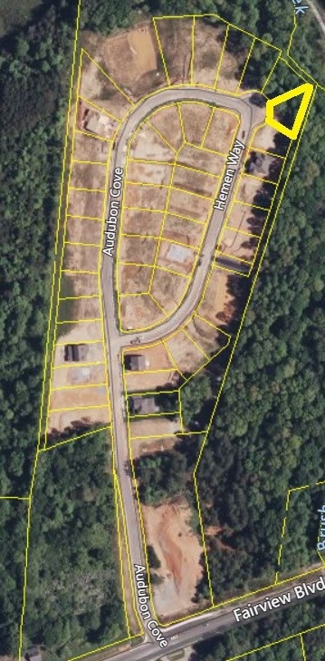 7422 Hemen Way, Fairview, TN 37062 - photo 2