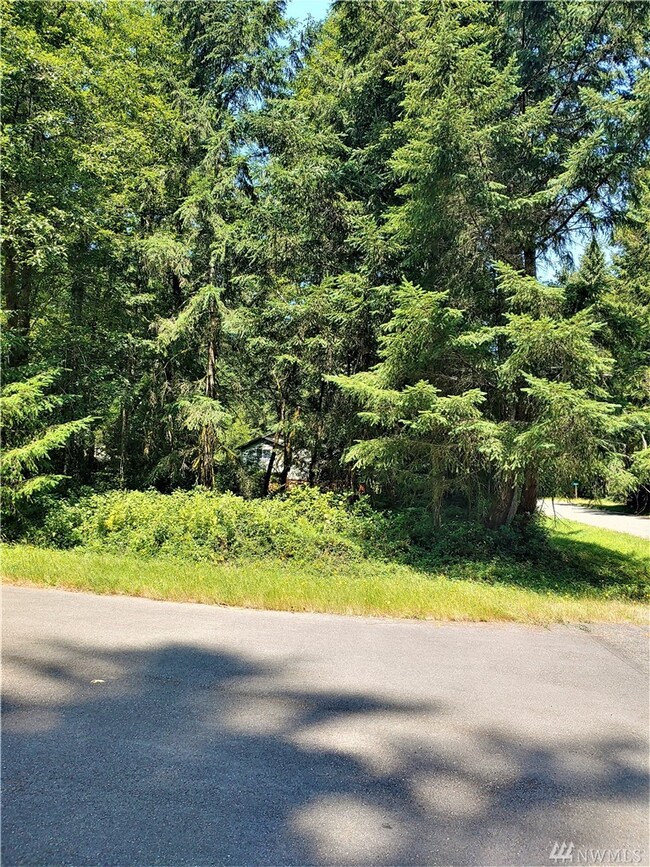 8920 Davenport Rd unit AI, Anderson Island, WA 98303 - photo 3