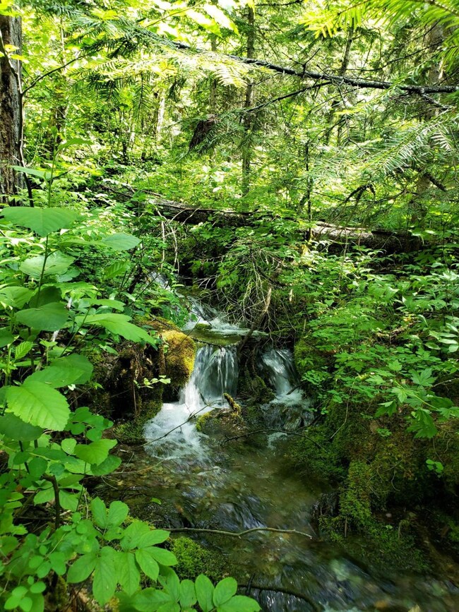 Nhn Mt Hwy 83, Swan Lake, MT 59911 - photo 3