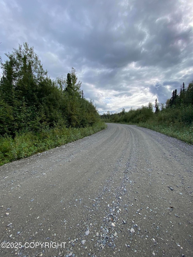 46808 S Merlin Dr, Willow, AK 99688 - photo 3