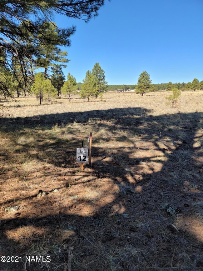 20210429_091612_resized