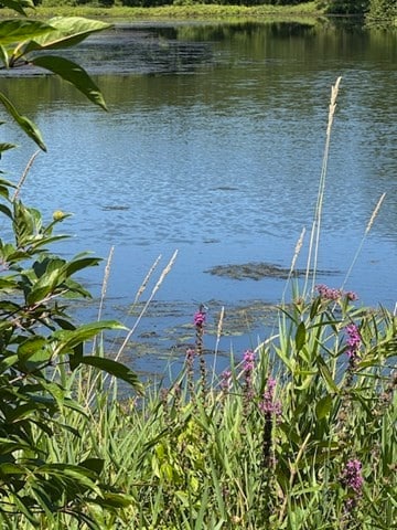 0 Summer St, North Dighton, MA 02764 - photo 2