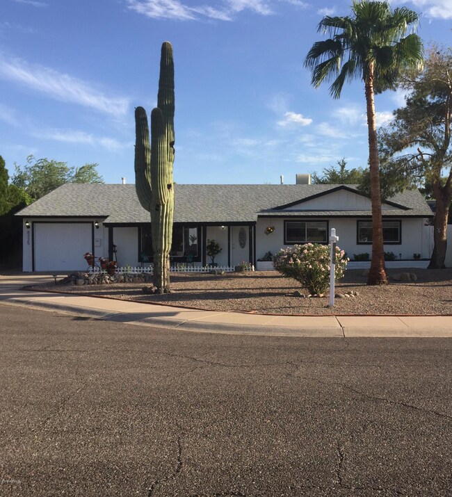 Front Large yard