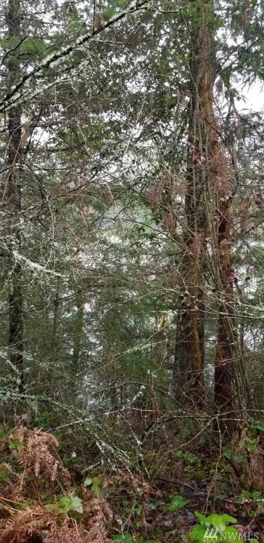 22309 Overlake Loop SE, Yelm, WA 98597 - photo 3