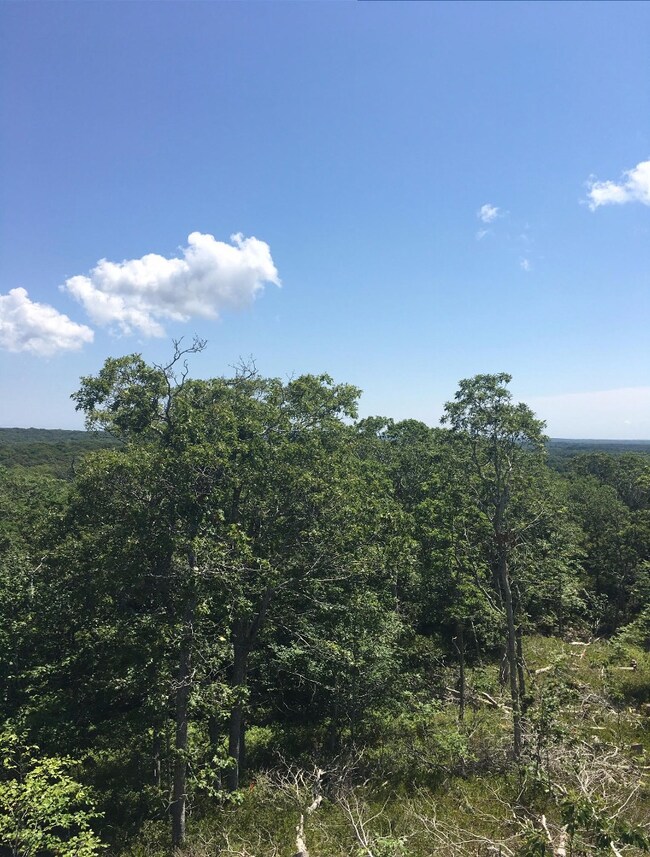 38 Fire Tower Rd, West Tisbury, MA 02568 - photo 2