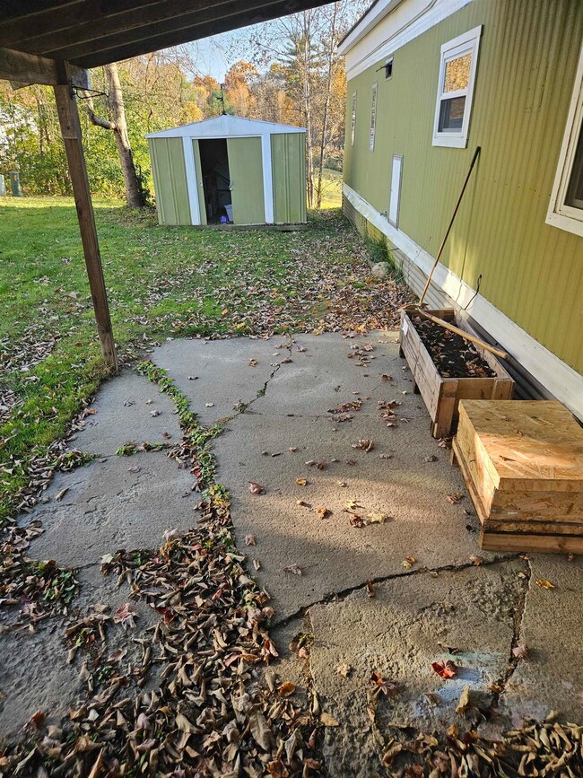 from entrance to yard and shed