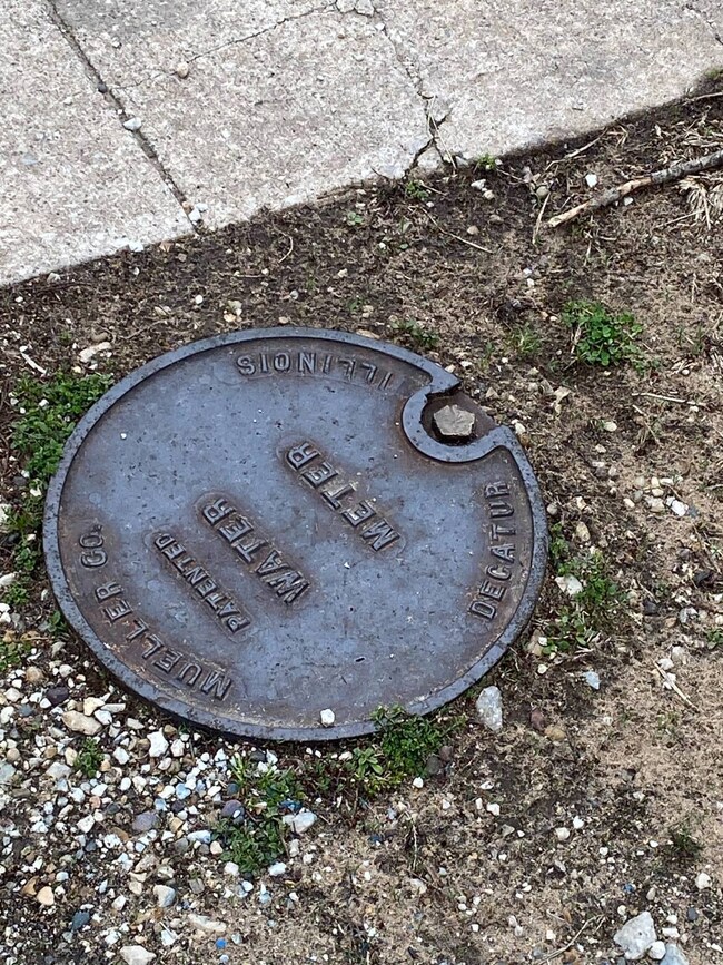 328 S N Washington St, Meredosia, IL 62665 - photo 5