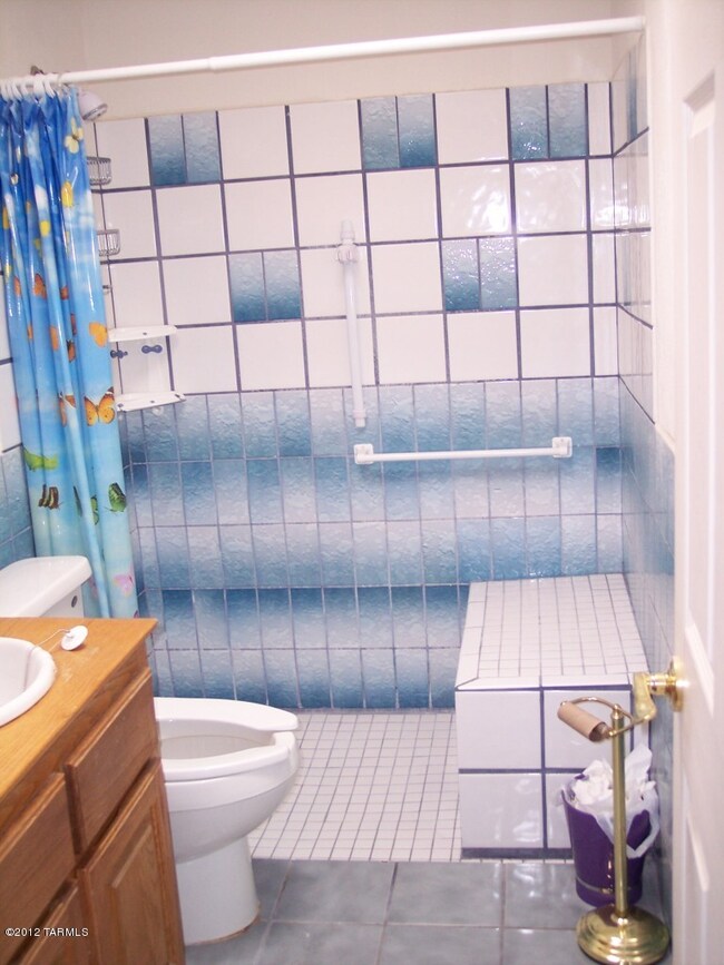 Updated hall bathroom