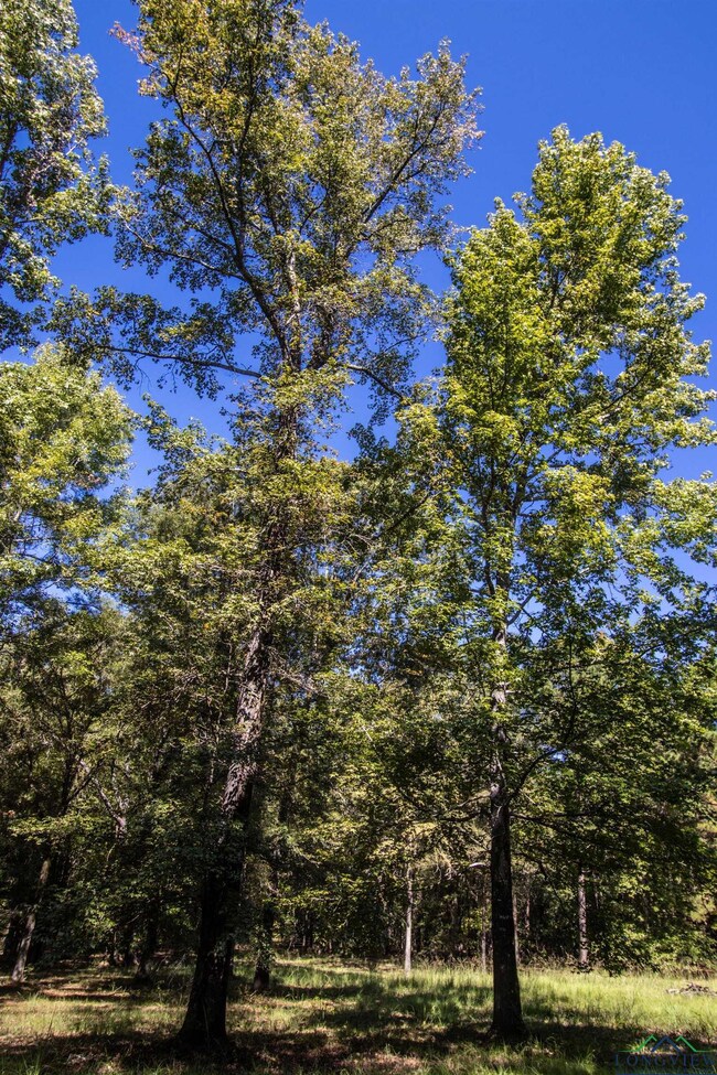 View of wooded area