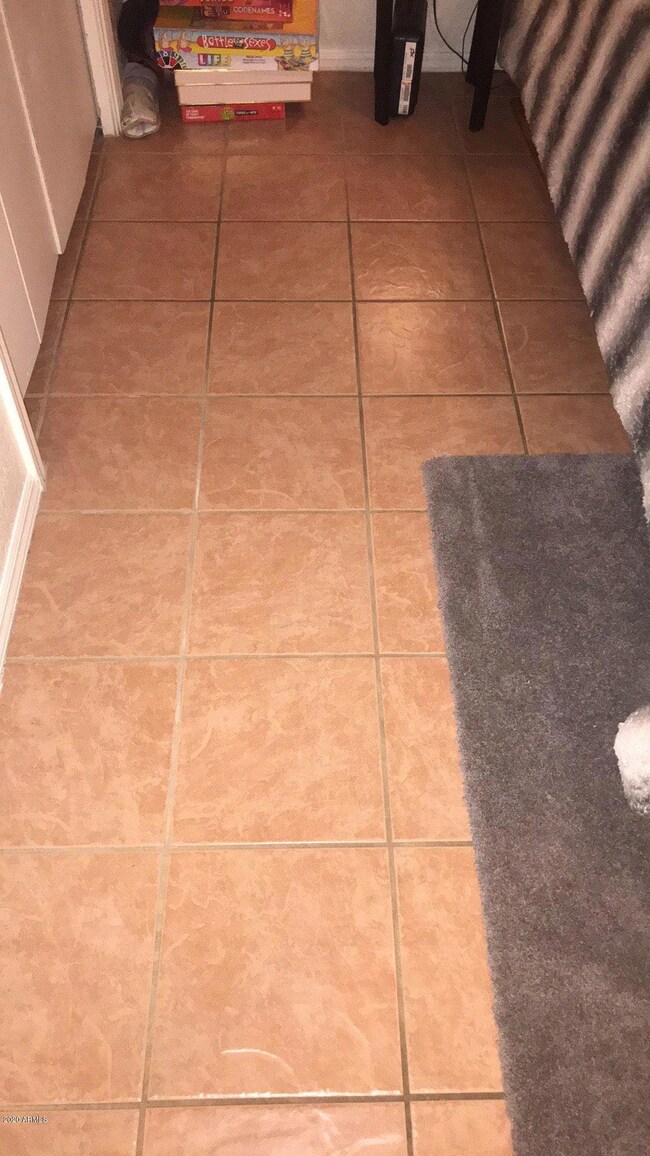 4732 E Camino St, Mesa, AZ 85205 - photo 6