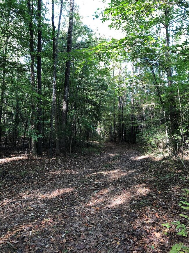 Road thru property