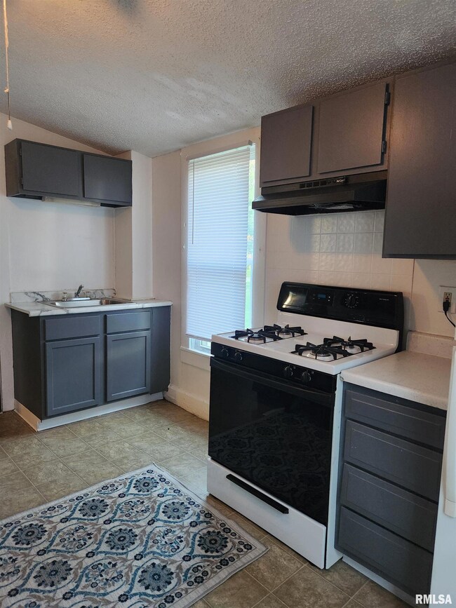 1703 W 7th St, Davenport, IA 52802 - photo 7