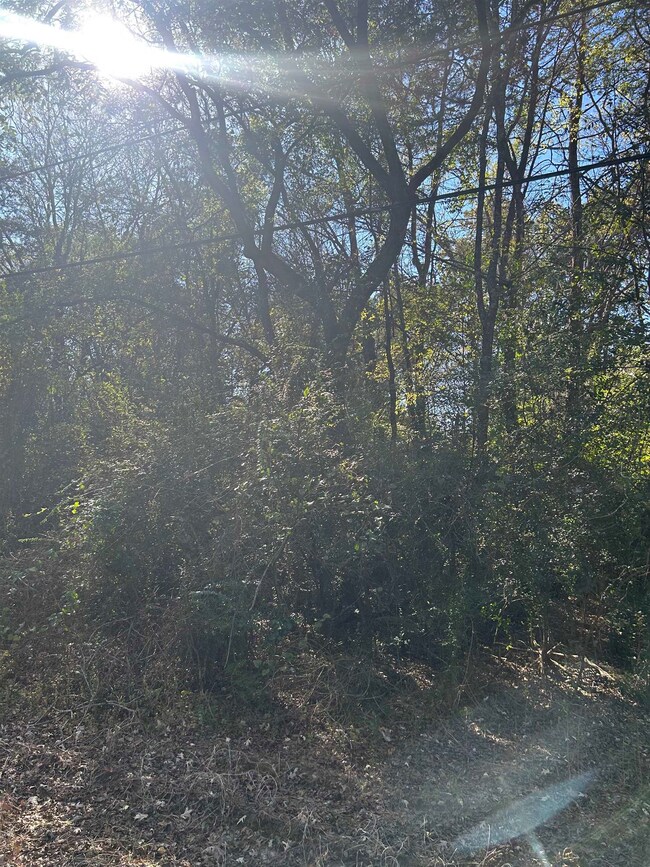 TBD Sanders St, Carthage, TX 75633 - photo 2