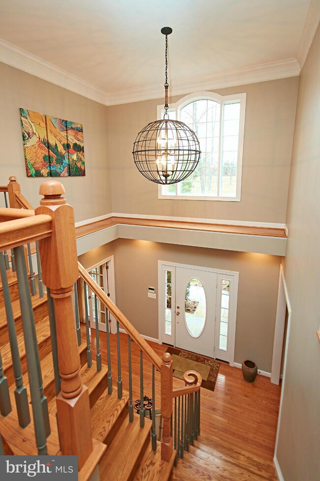 7005 Spy Plane Ln, Warrenton, VA 20187 - photo 6