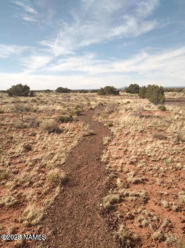 4044 Meadowbrook Dr, Williams, AZ 86046 - photo 5