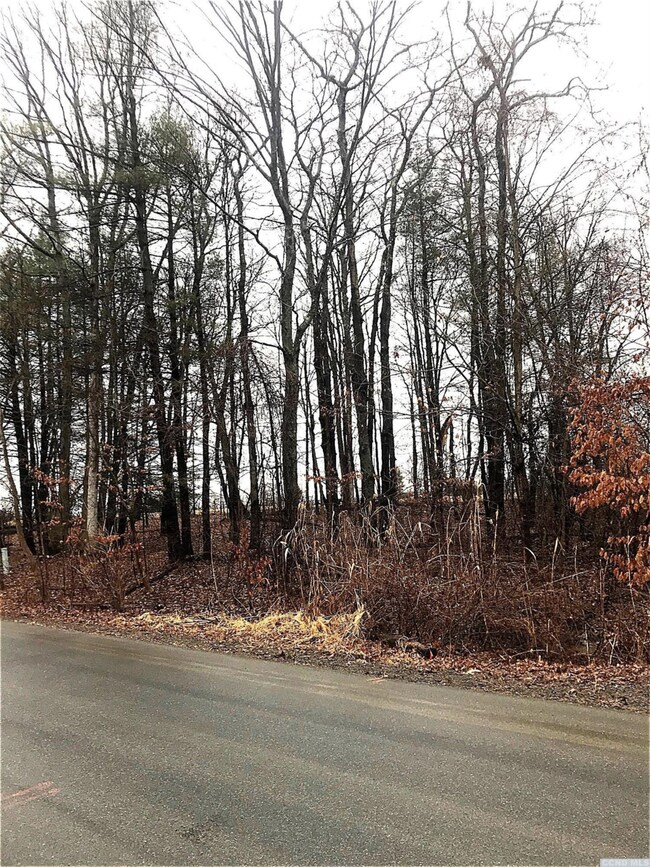 2 - L Sleepy Hollow Rd, Athens, NY 12015 - photo 5