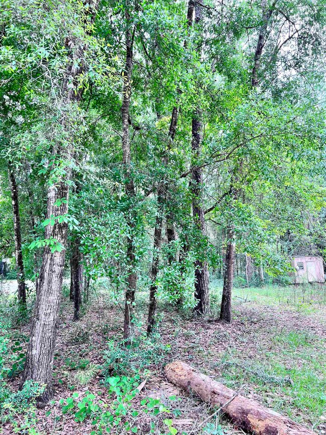 136 Fontaine Cir, Crawfordville, FL 32327 - photo 4