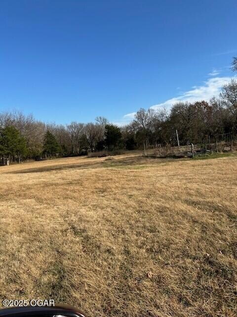 9742 County Road 260, Webb City, MO 64870 - photo 6