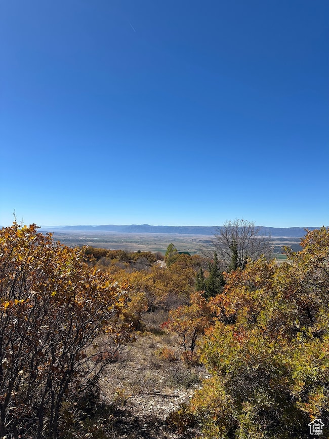 22949 N 13755 E unit 93, Fairview, UT 84629 - photo 3