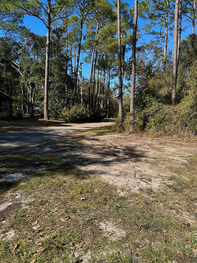 182 Smith Rd, Apalachicola, FL 32320 - photo 2
