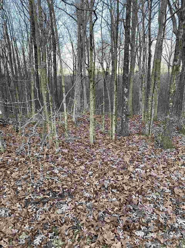 2975 Greene Road 715, Paragould, AR 72450 - photo 2