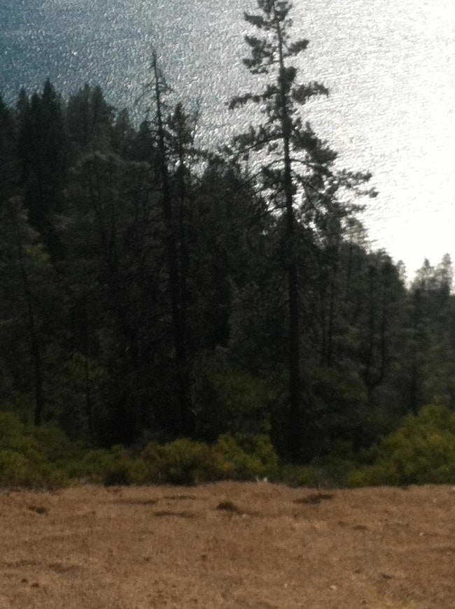 Open Area View