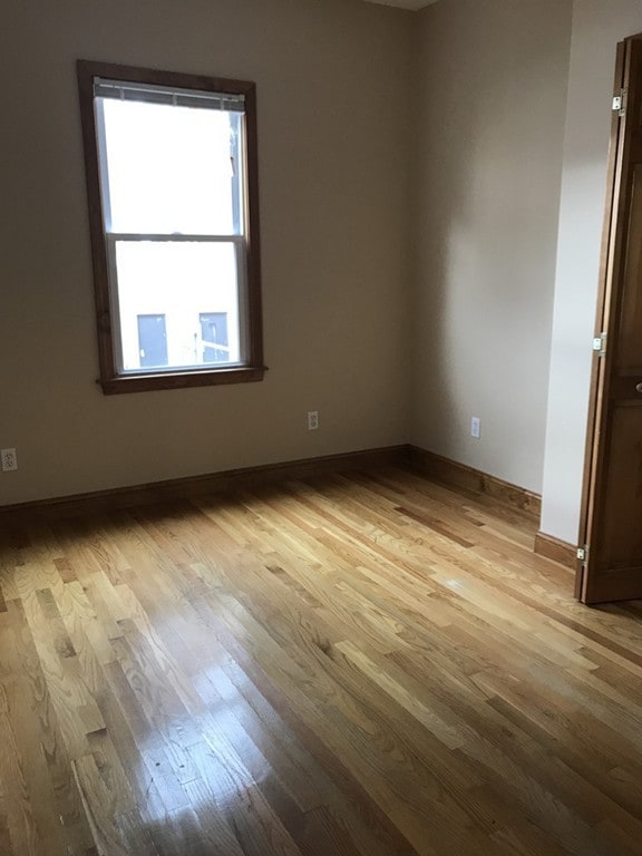 11 Loring St unit 1, Boston, MA 02127 - photo 7