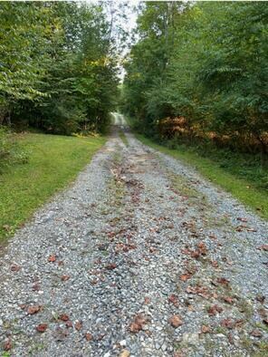 192 Jamaica Ln unit 192, Calvin, WV 26660 - photo 5