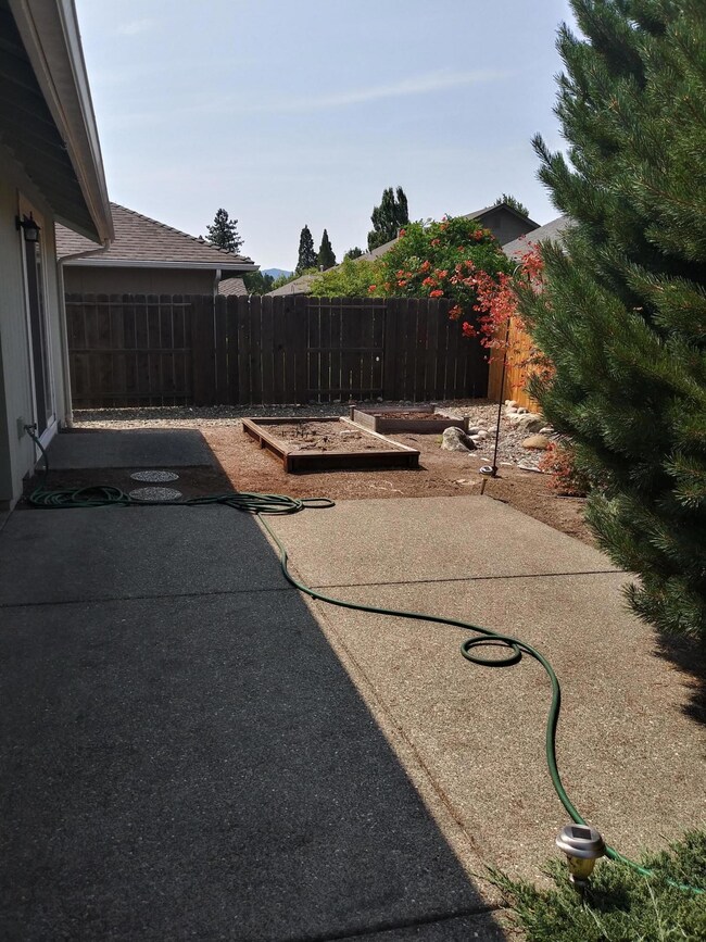Backyard - Patio