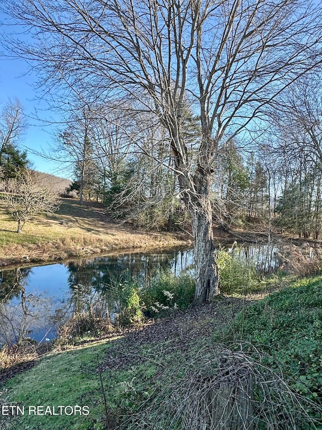 1500 Coalhill Rd, Sunbright, TN 37872 - photo 2