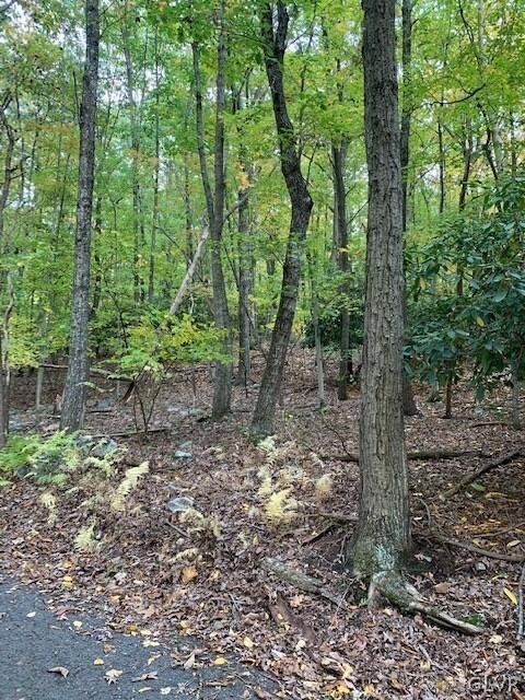 Wooded lot