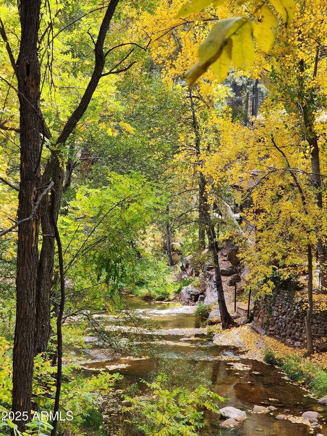 backyard creek2