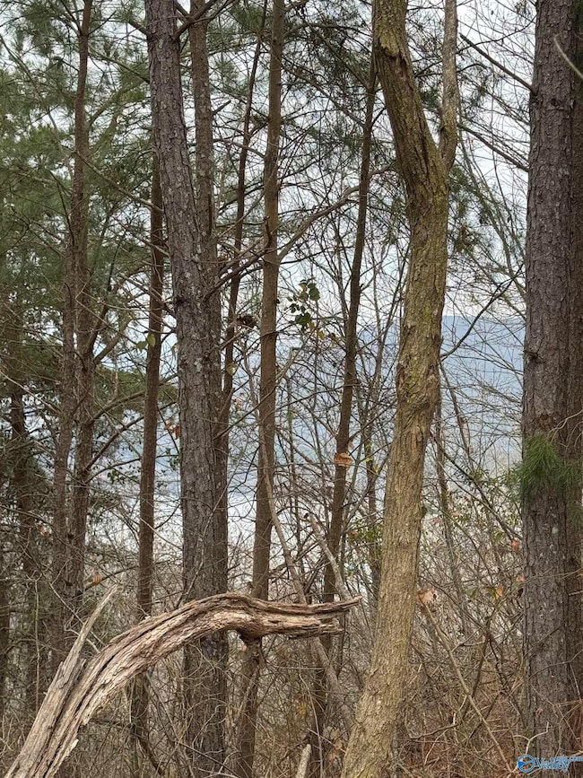 1960 County Road 223, Dutton, AL 35744 - photo 2