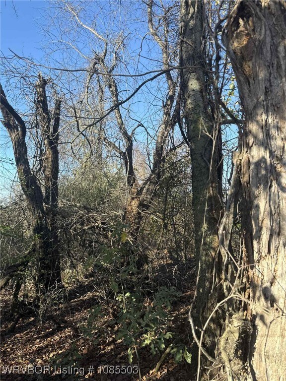 Tract 13 Lakeview Dr, Spiro, OK 74959 - photo 4