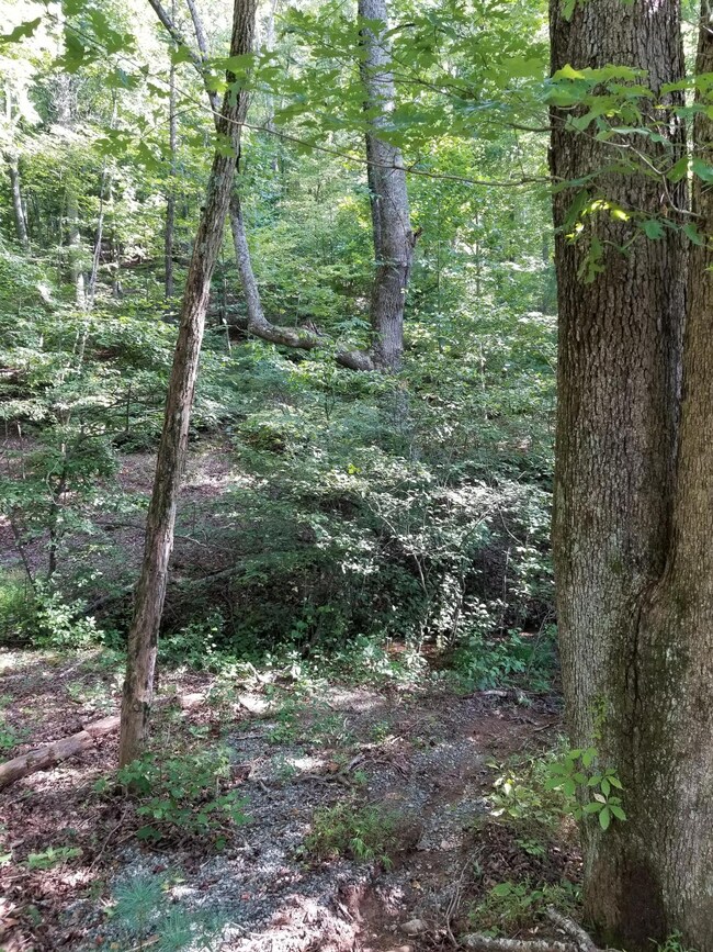 2 Goode Mountain
