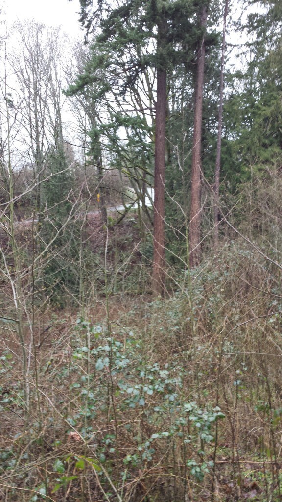 1228 Mukilteo Speedway, Mukilteo, WA 98275 - photo 3