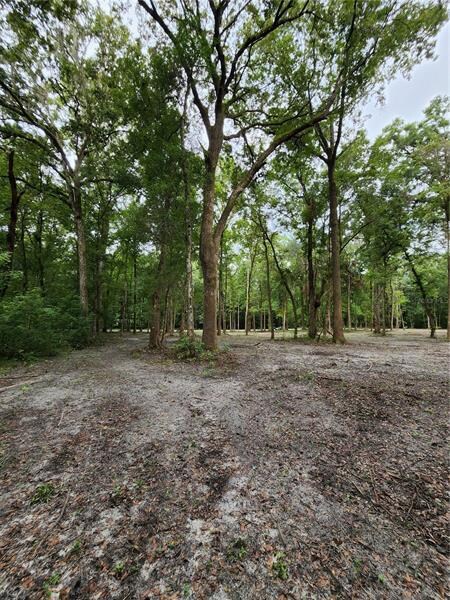 Lot 50 SW Boston Terrace, Fort White, FL 32038 - photo 7